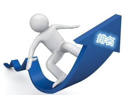 搜索引擎：针对百度搜索引擎的SEO专题