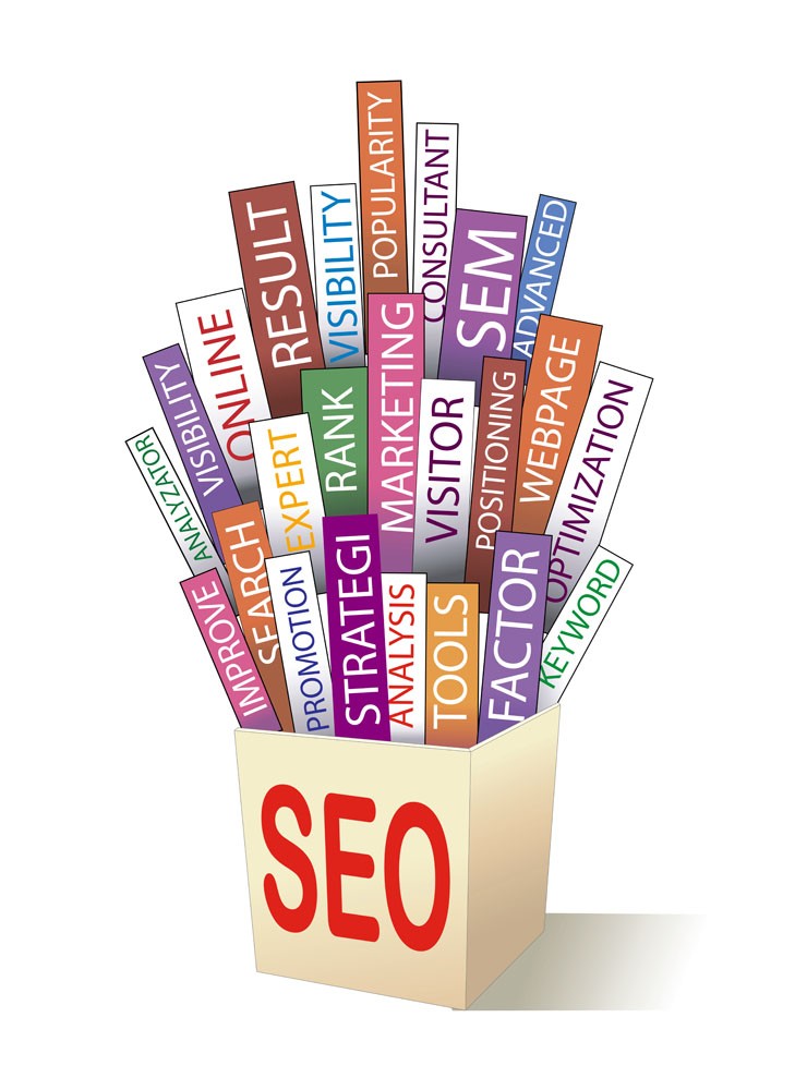 　　网站审核期排名