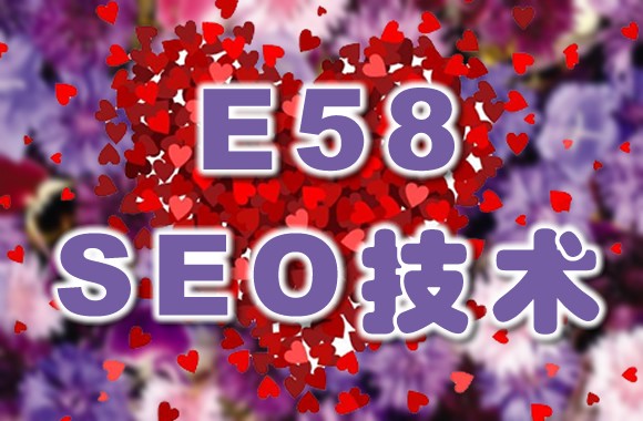 e58免费seo技术