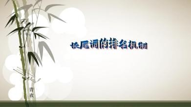 SEO技术篇-谈谈长尾词排名技术