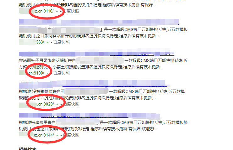 站群课程培训：泛端口+泛二级域名站群（这样做效果更好）