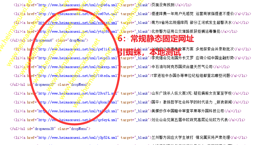 快乐SEO:百度蜘蛛繁殖池-966精准解决你的收录问题【开源版+所有版本】