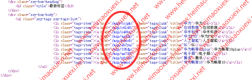 加强版MIP站群泛目录程序【括号】-带7套MIP模板-SEO辅助建站