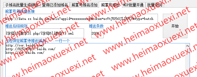 新版泛站群MIP工具箱-批量生成子域绑定站长平台-批量MIP开通