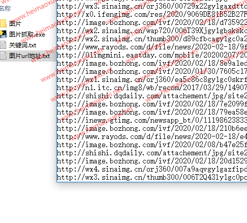 泛目录站群养站辅助工具-根据关键词抓取图片保存到本地软件