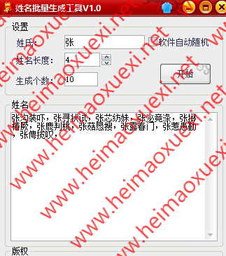 姓名批量生成工具/养站群/泛目录程序辅助工具/懂的自然懂/