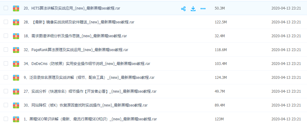 逆东黑帽SEO视频课程38节/价值10800元权重暴涨技术课程