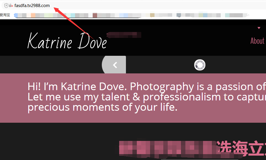 万能CMS模板站群主程序/全功能万词百度泛端口程序-liunx万能无限模板CMS泛站群 ... ... ...