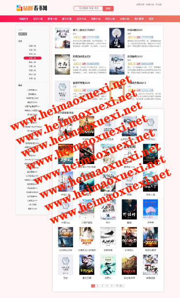 【2021年3月】最新款小说泛目录站群X2版本 （独立框架版本）超高权重 超高流量 ... ...