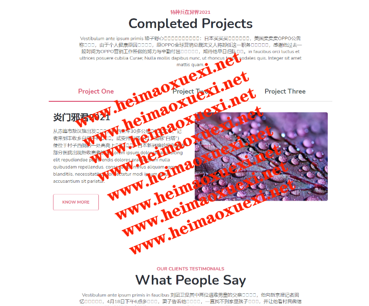 泛域名站群:永远滴神-扫地僧系列站群即将已上线/权重暴涨（涵盖所有版本/自定义修改/已测） ... ...