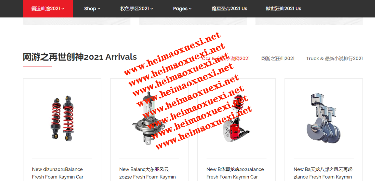 泛域名站群:永远滴神-扫地僧系列站群即将已上线/权重暴涨（涵盖所有版本/自定义修改/已测） ... ...