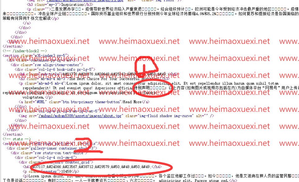 扫地僧站群英文框架下的泛站群X5-NIUB算法1.0+速排名算法版