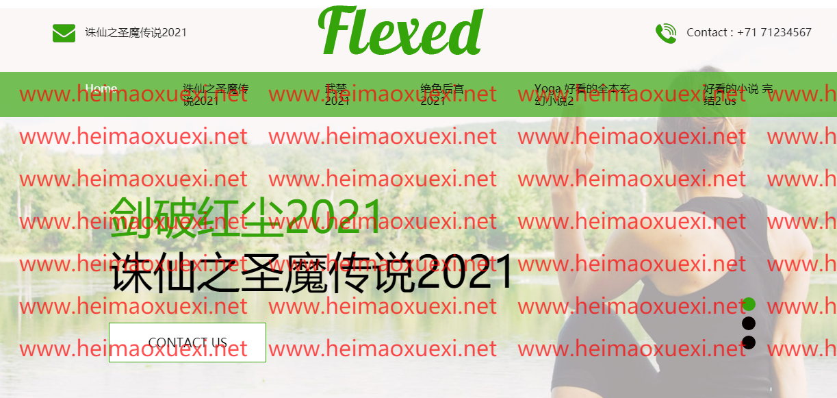 扫地僧站群英文框架下的泛站群X5-NIUB算法1.0+速排名算法版