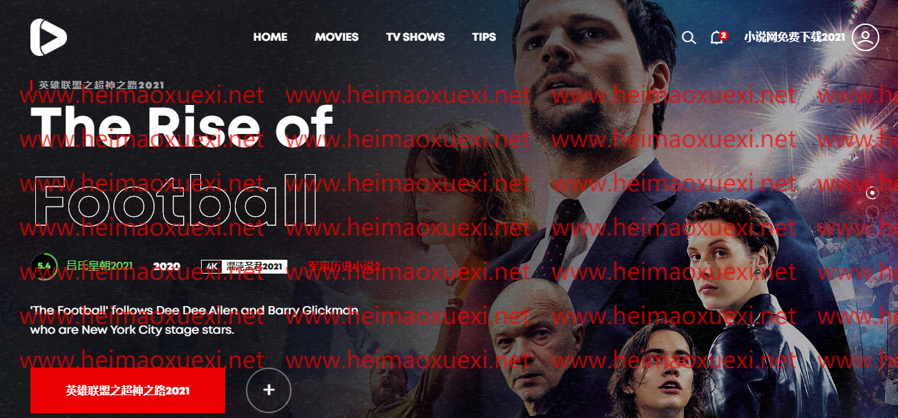 扫地僧站群英文框架下的泛站群X5-NIUB算法1.0+速排名算法版